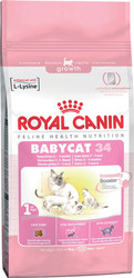Отзывы Корм для кошек Royal Canin Babycat 34 2 кг