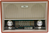 Отзывы Радиоприемник Ritmix RPR-101 (коричневый)