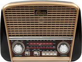 Отзывы Радиоприемник Ritmix RPR-050 (золотой)