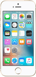 Отзывы Смартфон Apple iPhone SE 16GB Gold