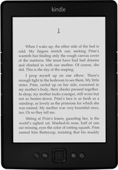 Отзывы Электронная книга Amazon Kindle (5-е поколение)