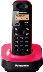 Отзывы Радиотелефон Panasonic KX-TG1401RUP