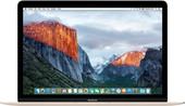Отзывы Ноутбук Apple MacBook (2016 год) [MLHE2]