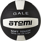 Отзывы Мяч Atemi Gale